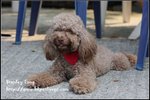 IMG_5293z
