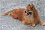 IMG_5402z