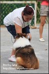 IMG_5416z