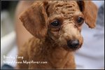 IMG_5426z
