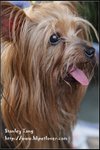 IMG_5453z