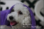 IMG_5468z