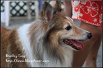 IMG_5475z