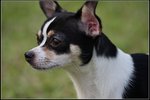 IMG_5688z