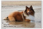 IMG_4564z