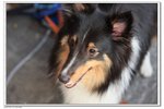 IMG_4674z