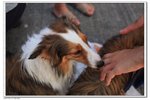 IMG_4695z