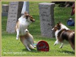 IMG_0242z