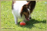 IMG_0248z