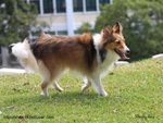 IMG_0255z