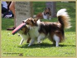 IMG_0270z