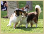 IMG_0271z