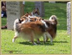 IMG_0272z