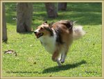 IMG_0292z