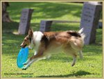 IMG_0348z