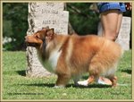 IMG_0364z