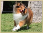 IMG_0368z