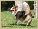 IMG_0378z