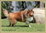 IMG_0441z