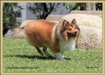 IMG_0442z