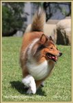 IMG_0447z