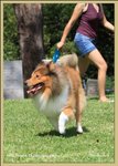IMG_0469z