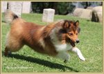 IMG_0482z