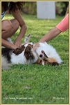 IMG_0506z