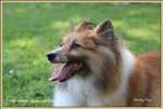 IMG_0530z