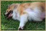 IMG_0540z