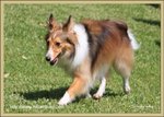 IMG_0553z