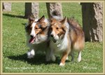 IMG_0580z