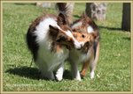 IMG_0586z