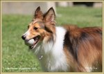 IMG_0597z
