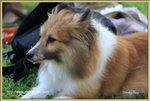 IMG_0626z