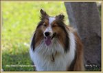 IMG_0635z