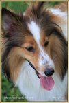 IMG_0640z