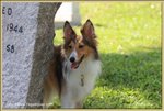 IMG_0646z