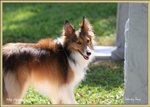 IMG_0670z