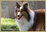 IMG_0687z