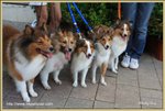 IMG_0768z