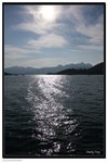 IMG_7124z