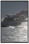 IMG_7155z