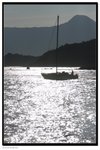 IMG_7167z