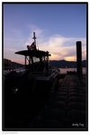 IMG_7295z