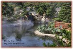 IMG_2613z