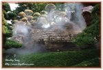 IMG_2627z