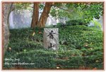 IMG_2646z