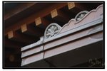 IMG_2657z