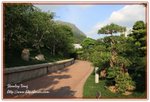 IMG_2681z